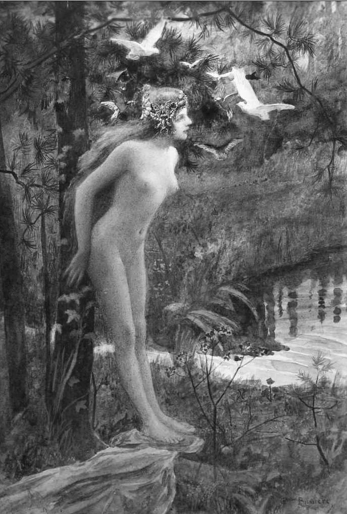 La fata degli uccelli